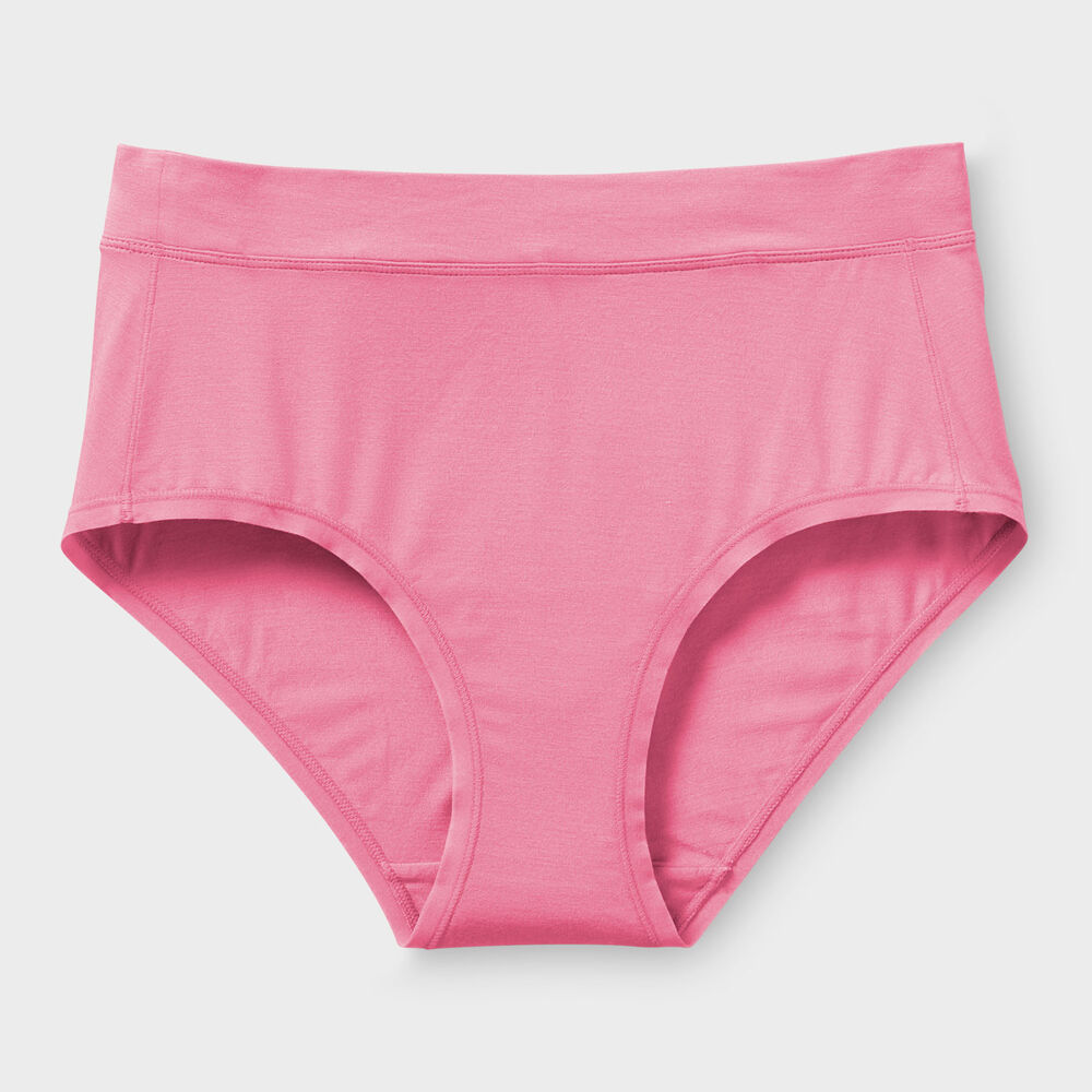 Women's Dang Soft Modern Briefs Main Image