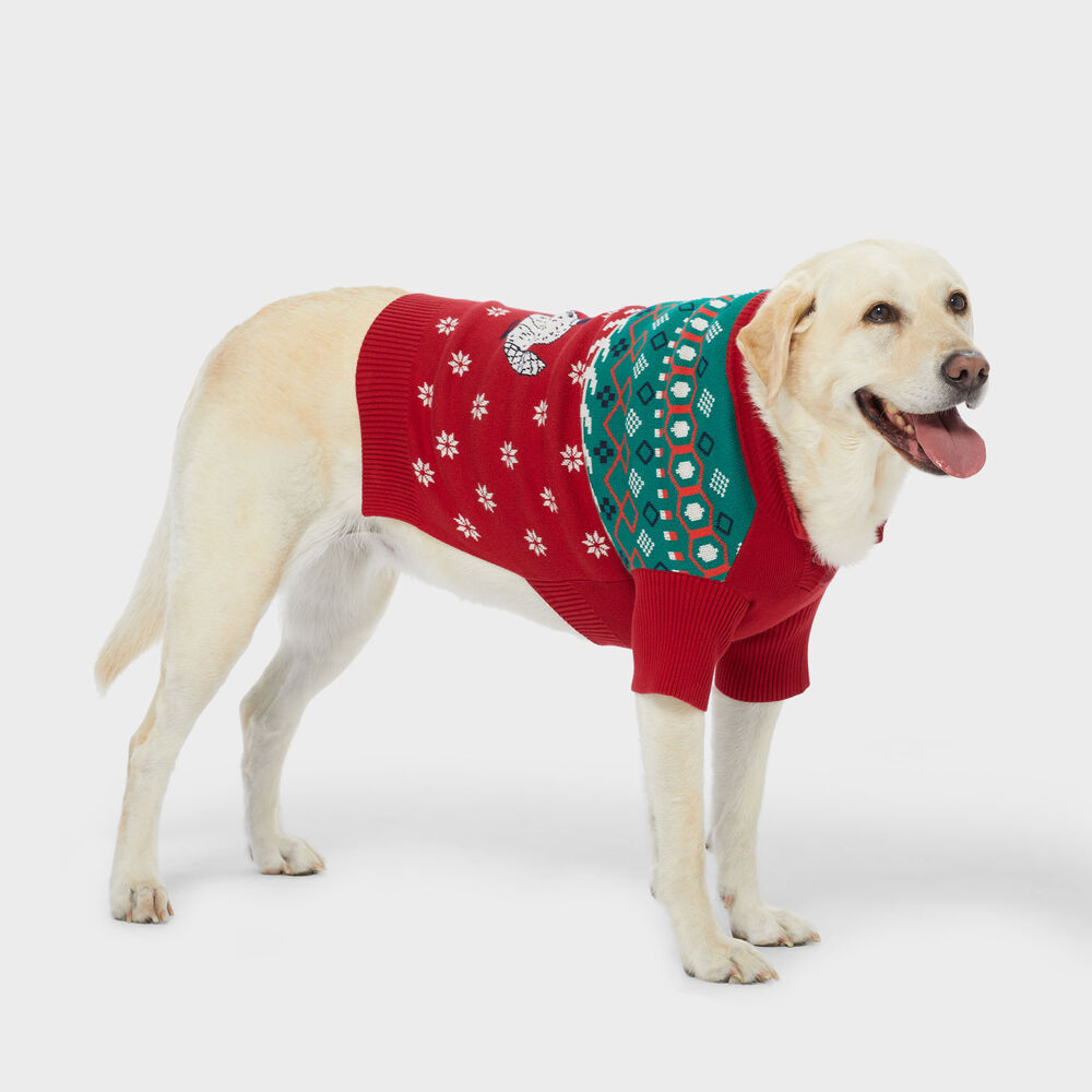 Duluth Dog Sweater Main Image