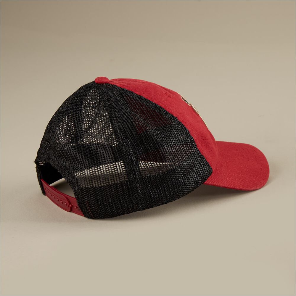 Duluth Beaver Logo Baseball Cap Main Image