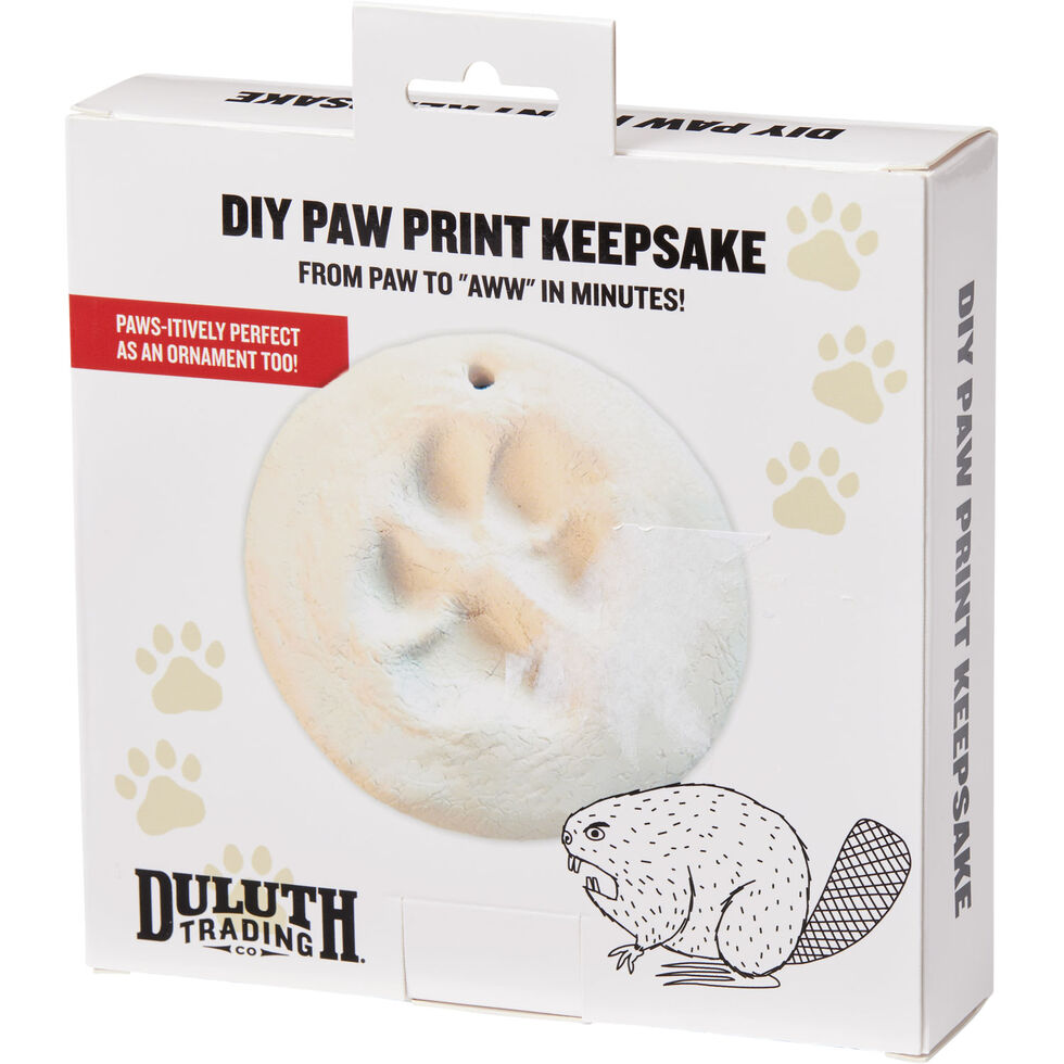DIY Paw Print  How to Make a Paw Print Stamp - Easy and Cheap