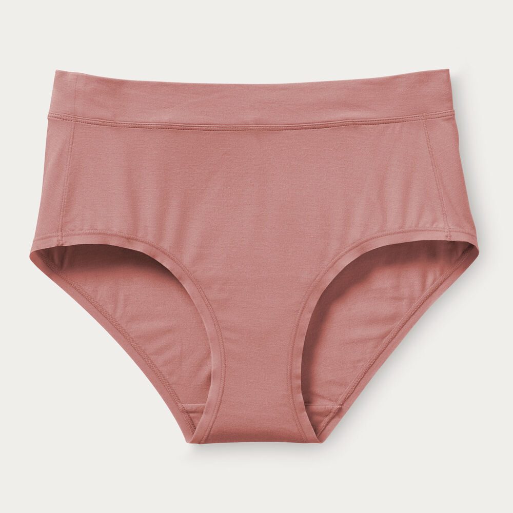 Women's Dang Soft Modern Briefs Main Image