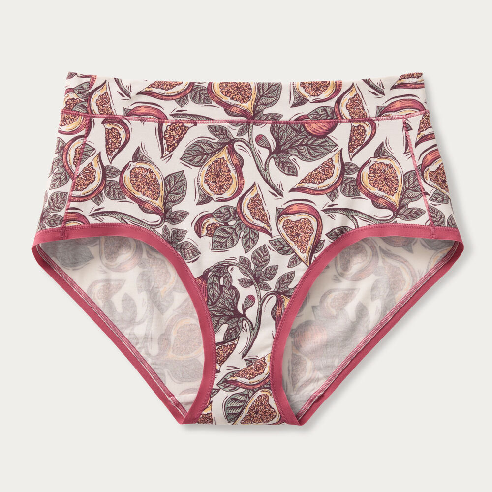 Women's Dang Soft Modern Briefs Main Image