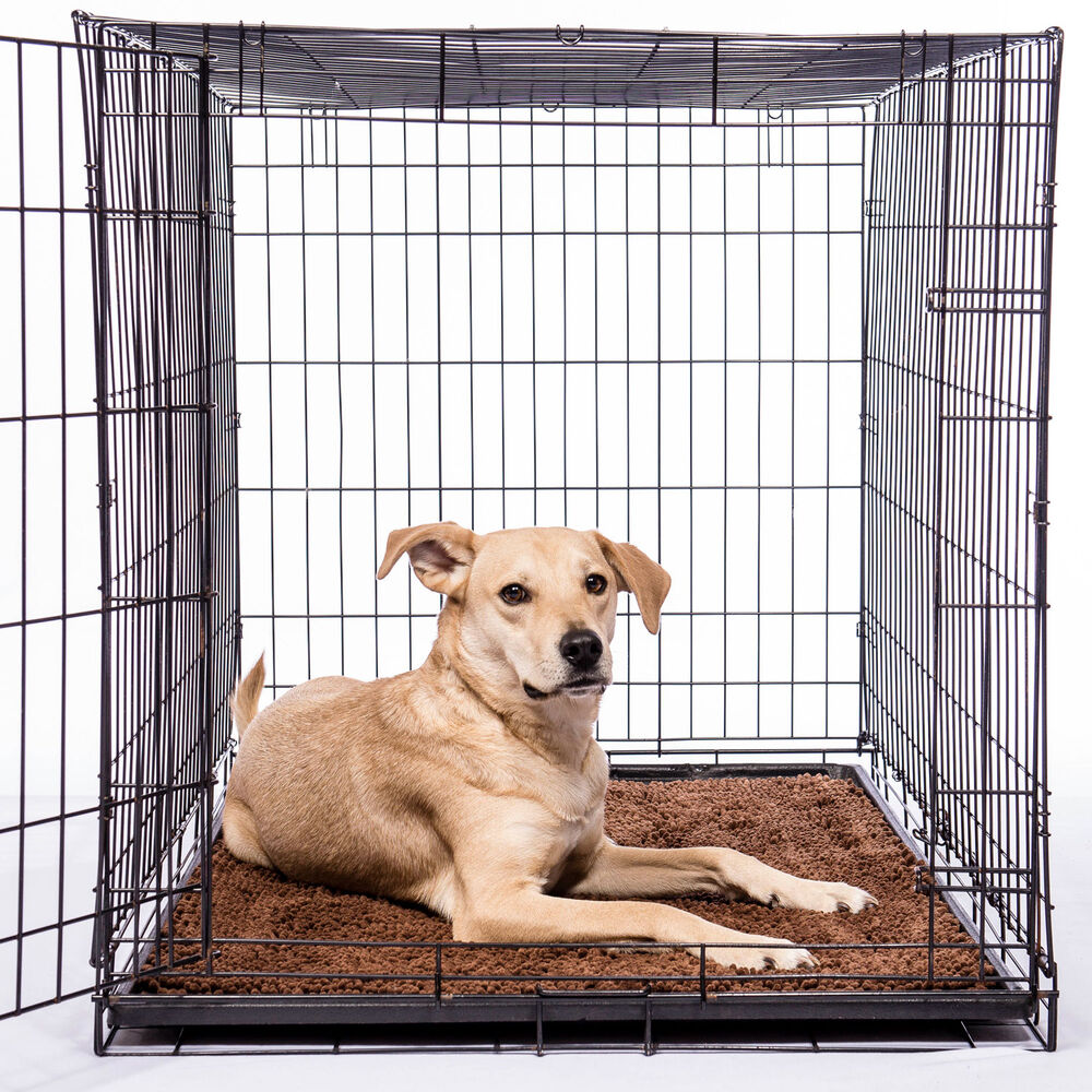 Dirty Dogs Doormat Main Image