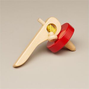 Hand Spinning Top