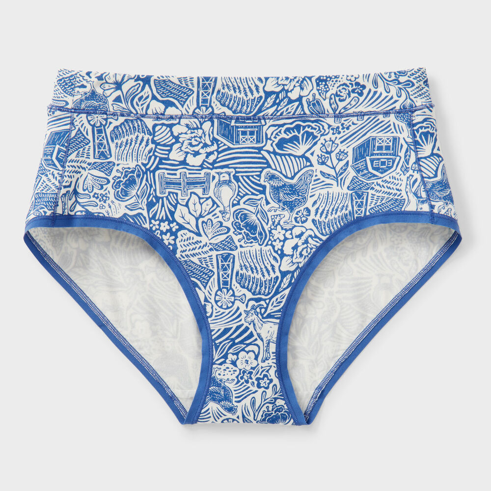Women's Plus Dang Soft Modern Briefs Main Image