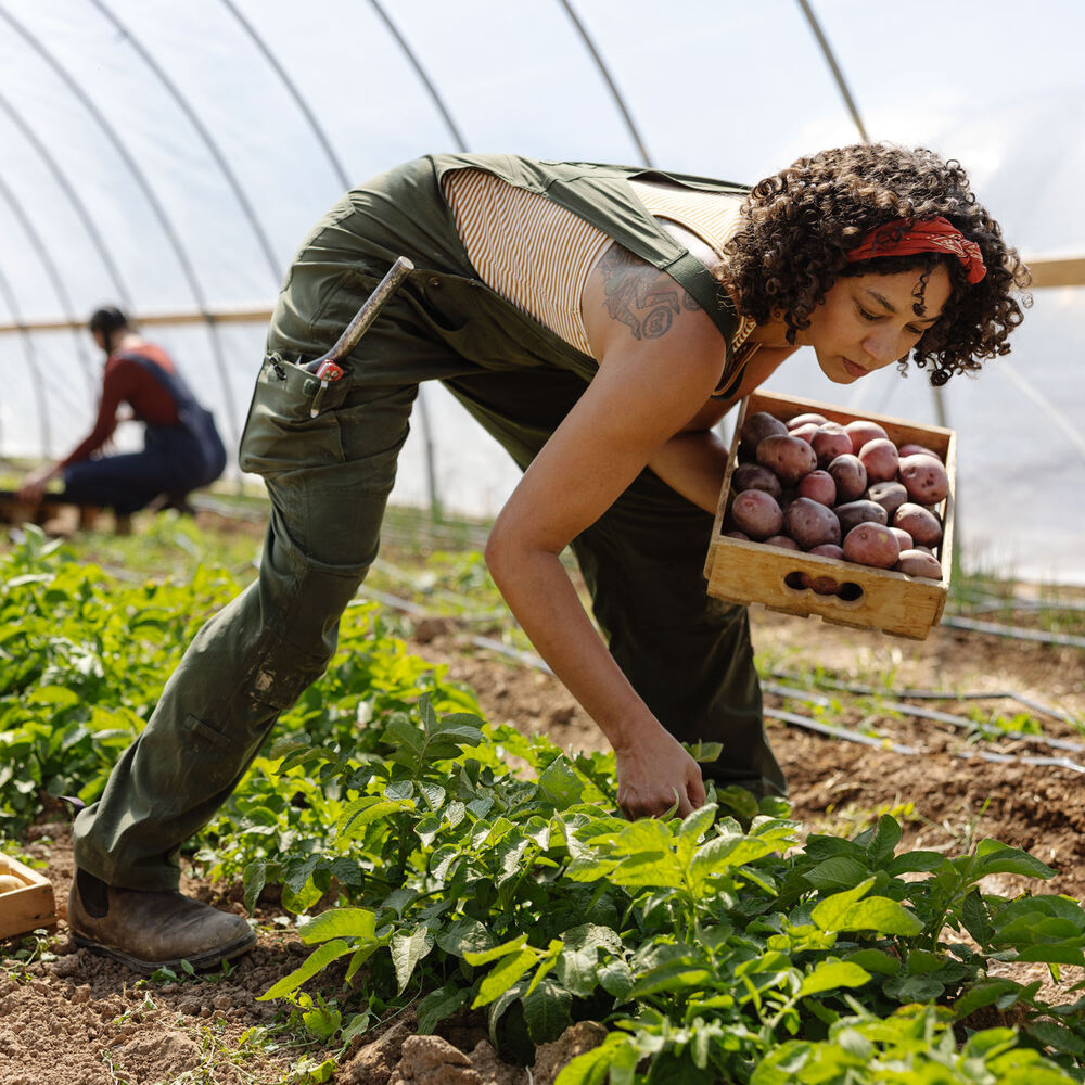 Women's Heirloom Gardening Bib Overalls Main Image