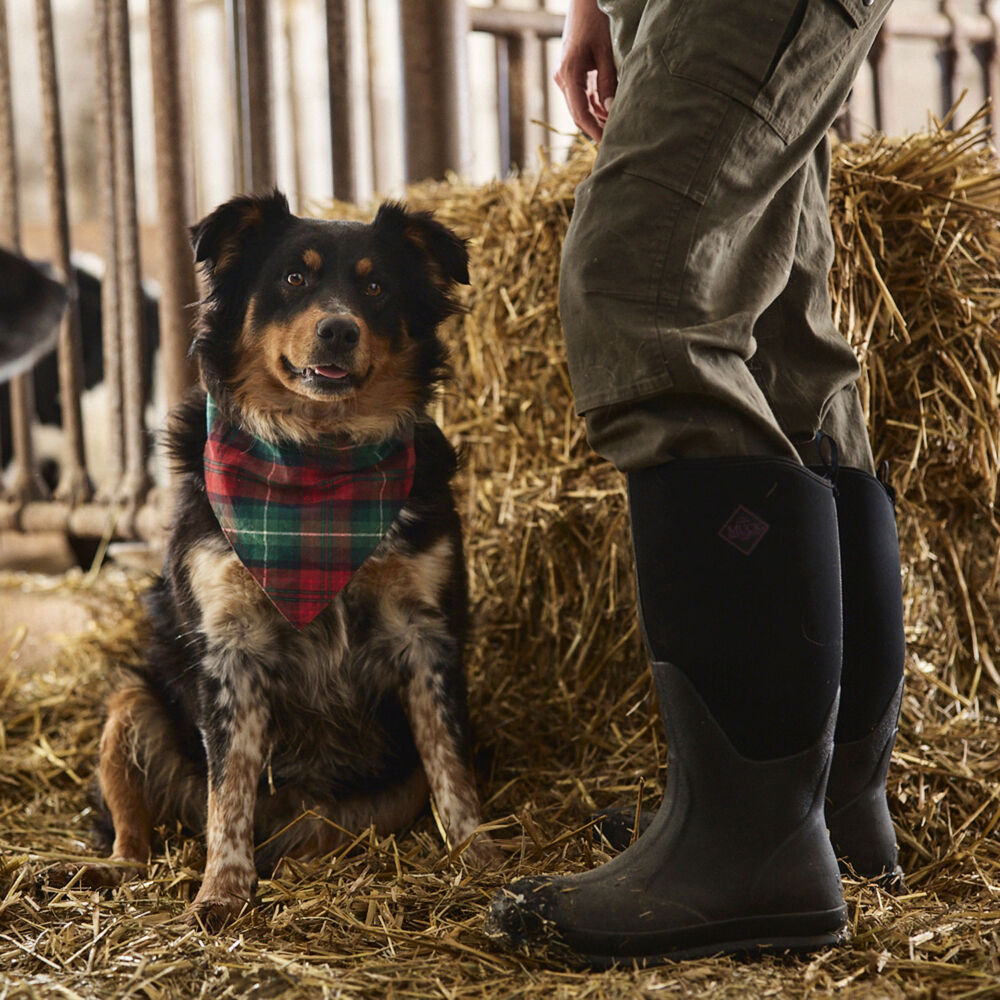 Free Swingin' Flannel Dog Bandana Main Image