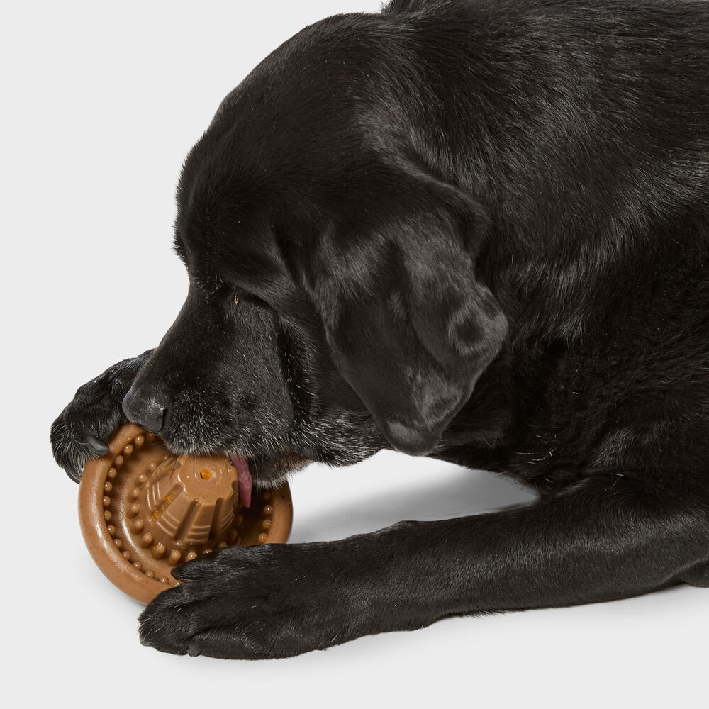 Tall Tails Shroom Chew Dog Toy Main Image