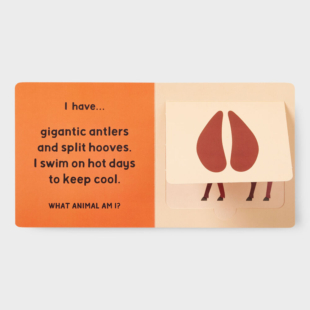 Forest Tracks Main Image