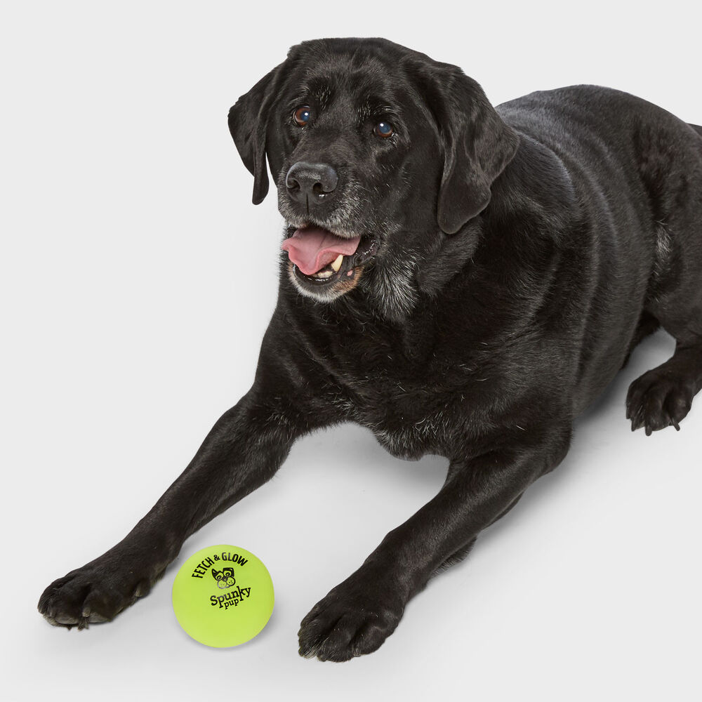 Spunky Pup Fetch and Glow Ball Main Image