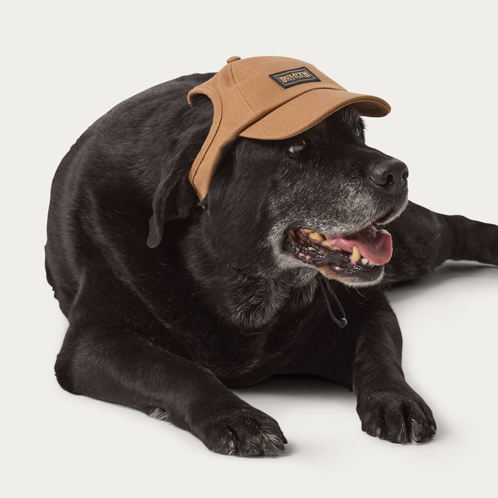 Dog Fire Hose High Crown Hat Main Image