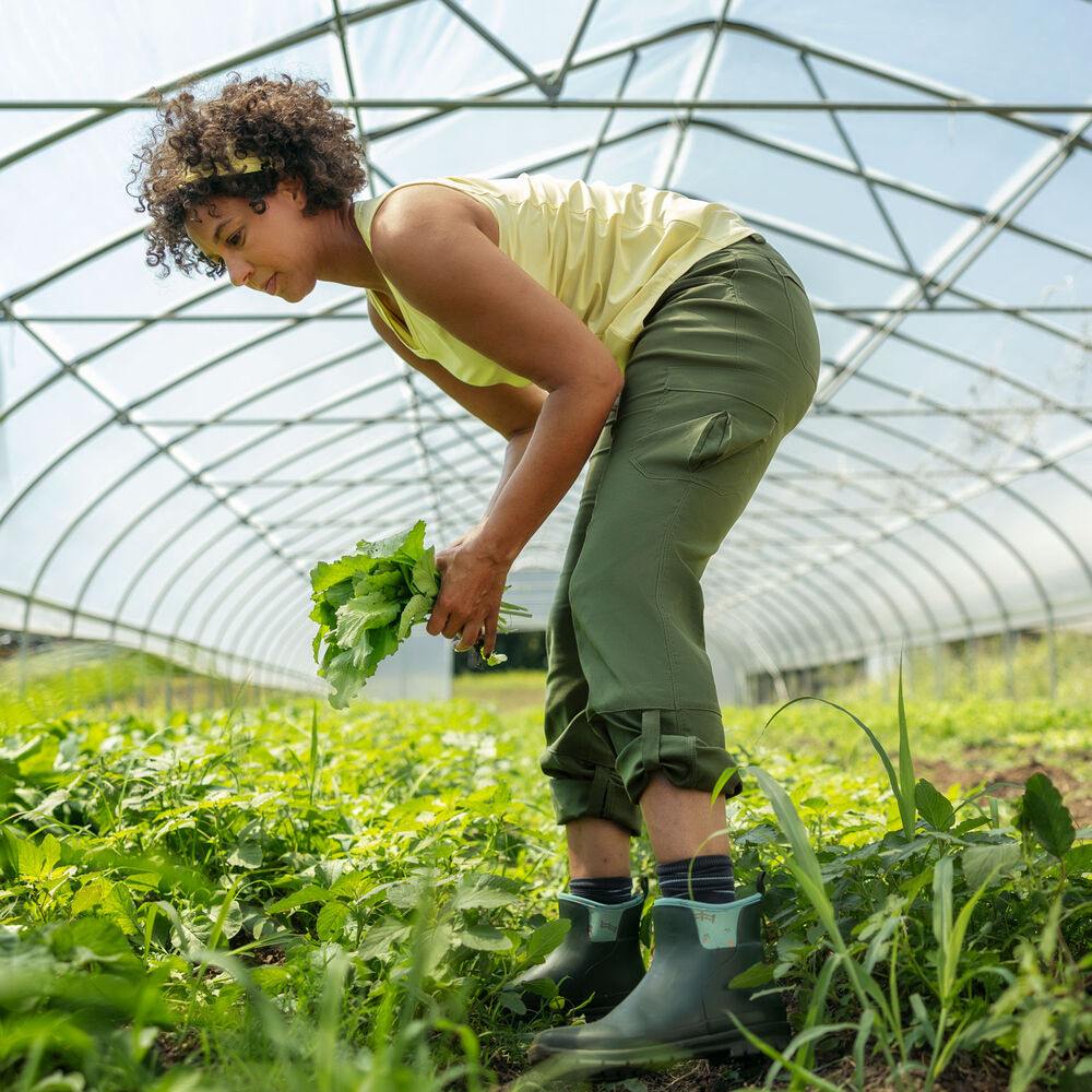 Women's Dry on the Fly Bootcut Pants Main Image