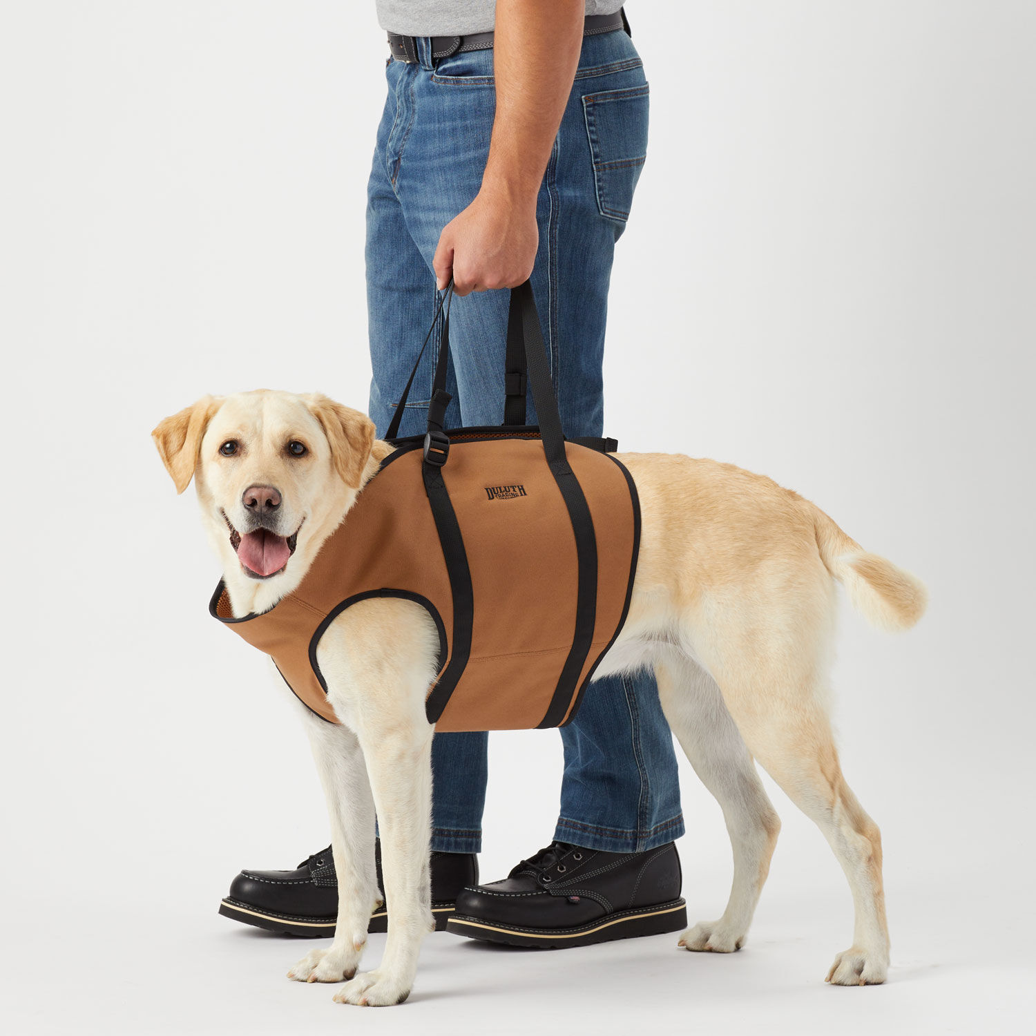 Dog discount lift harness