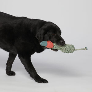 Fly & Fetch Rope Duck