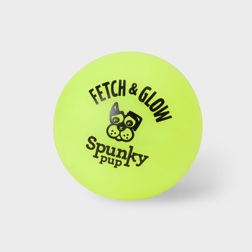 Spunky Pup Fetch and Glow Ball AST LRG Main Image