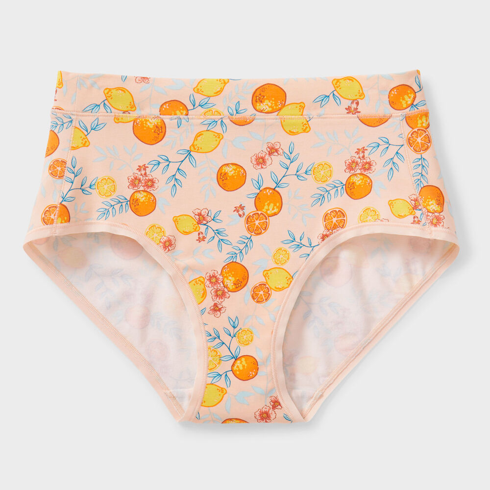 Women's Plus Dang Soft Modern Briefs Main Image