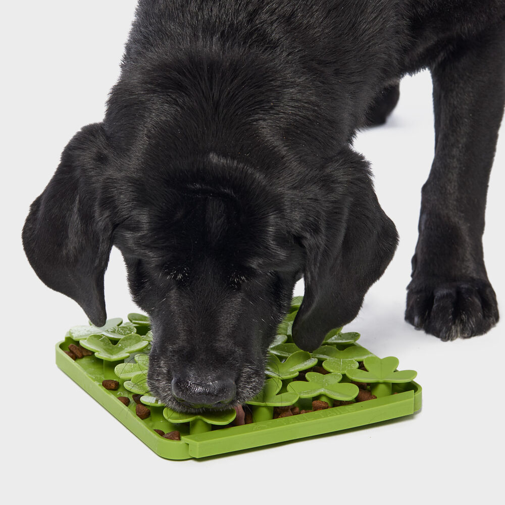 Dog Feeding and Foraging Mat CLG Main Image
