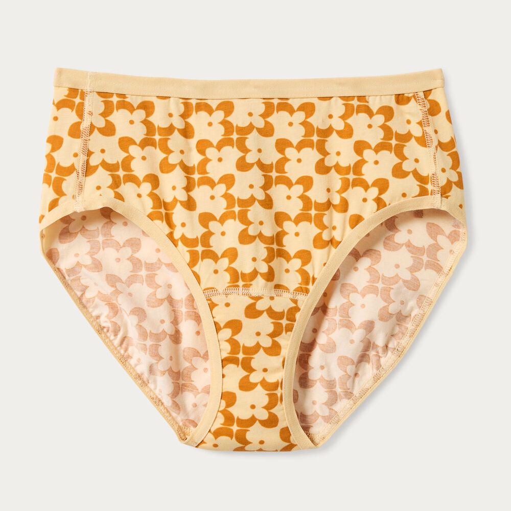 Women's Plus Free Range Organic Cotton Briefs Main Image