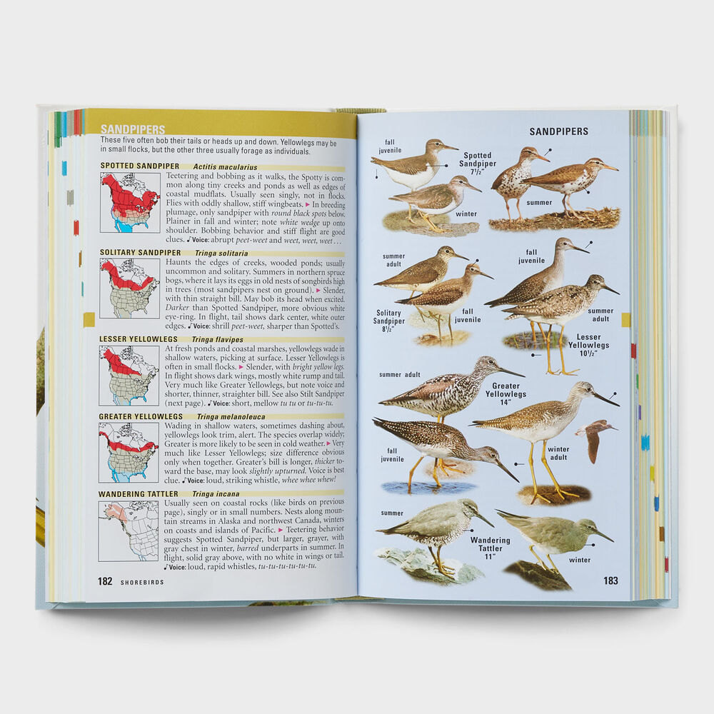 Kaufman Field Guide to Birds of North America Main Image