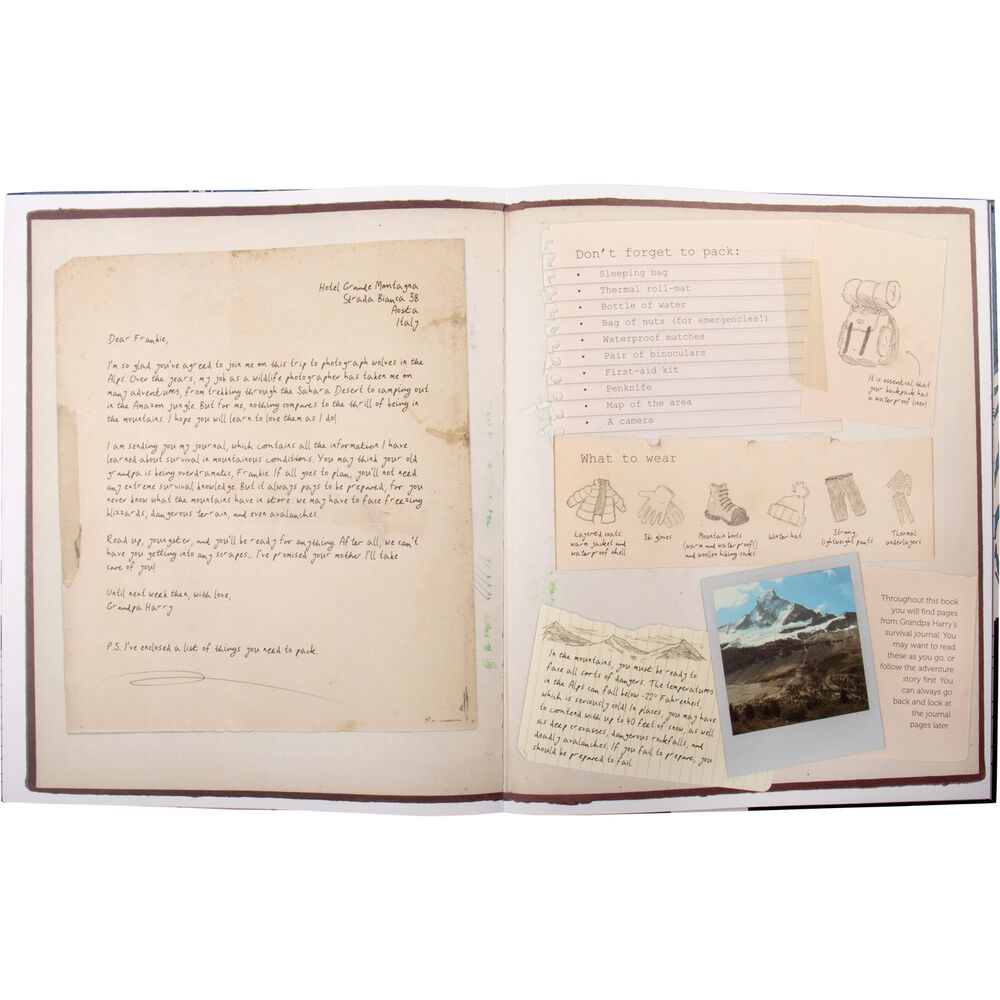 Spin to Survive Frozen Mountain Main Image