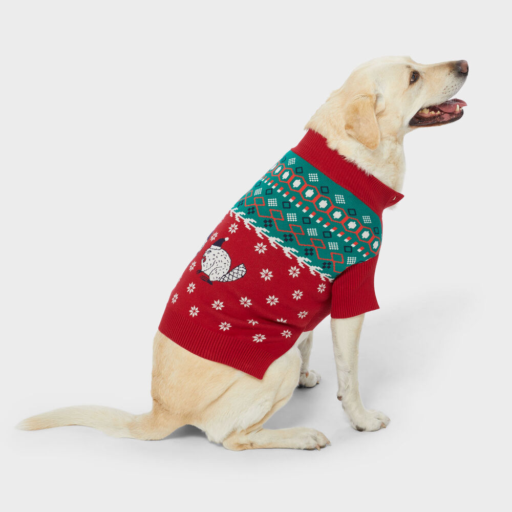 Duluth Dog Sweater Main Image