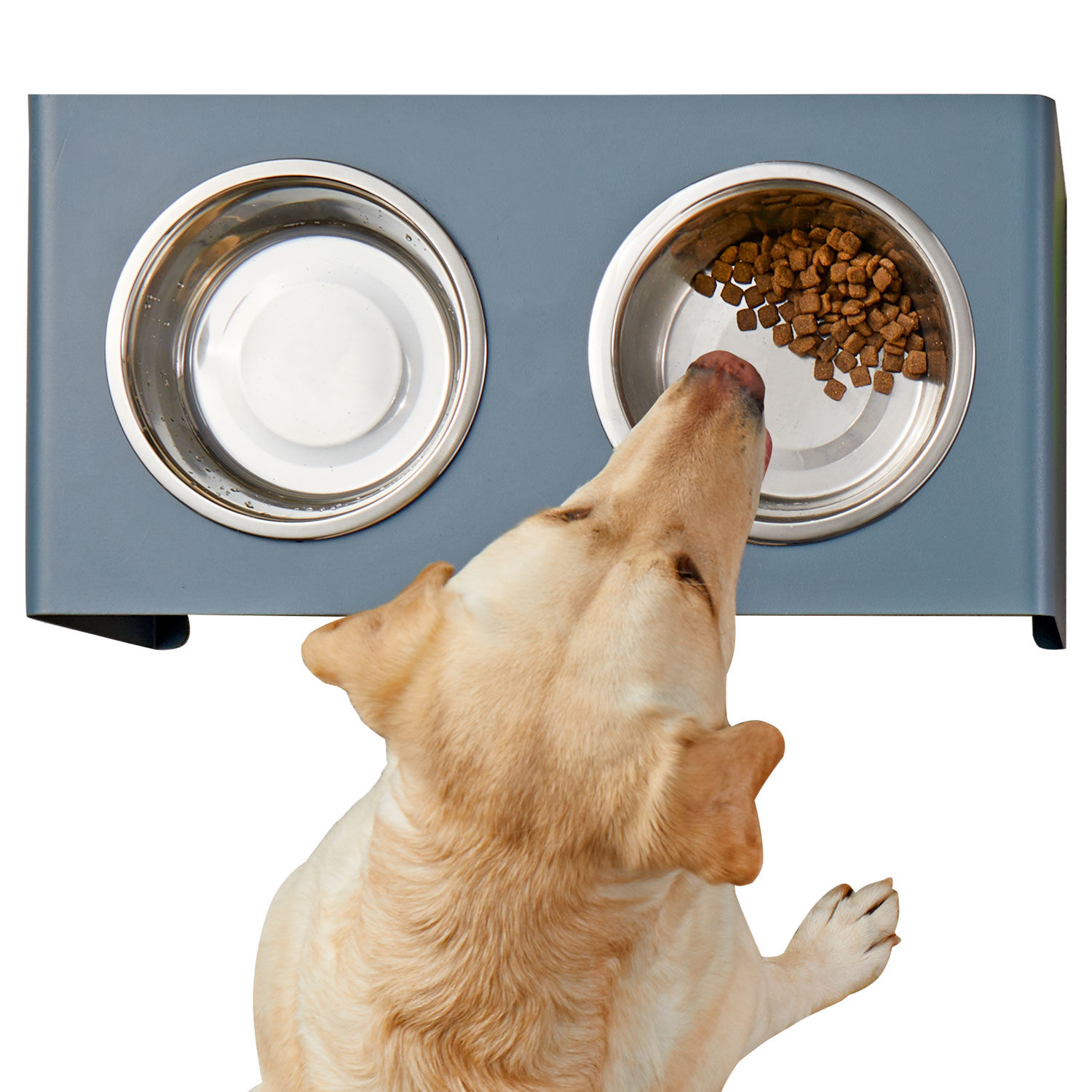 Raised Dog Feeder Duluth Trading Company