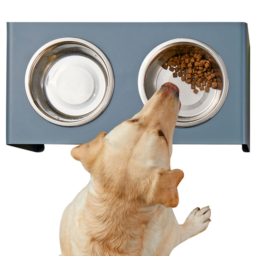 Raised Dog Feeder Main Image