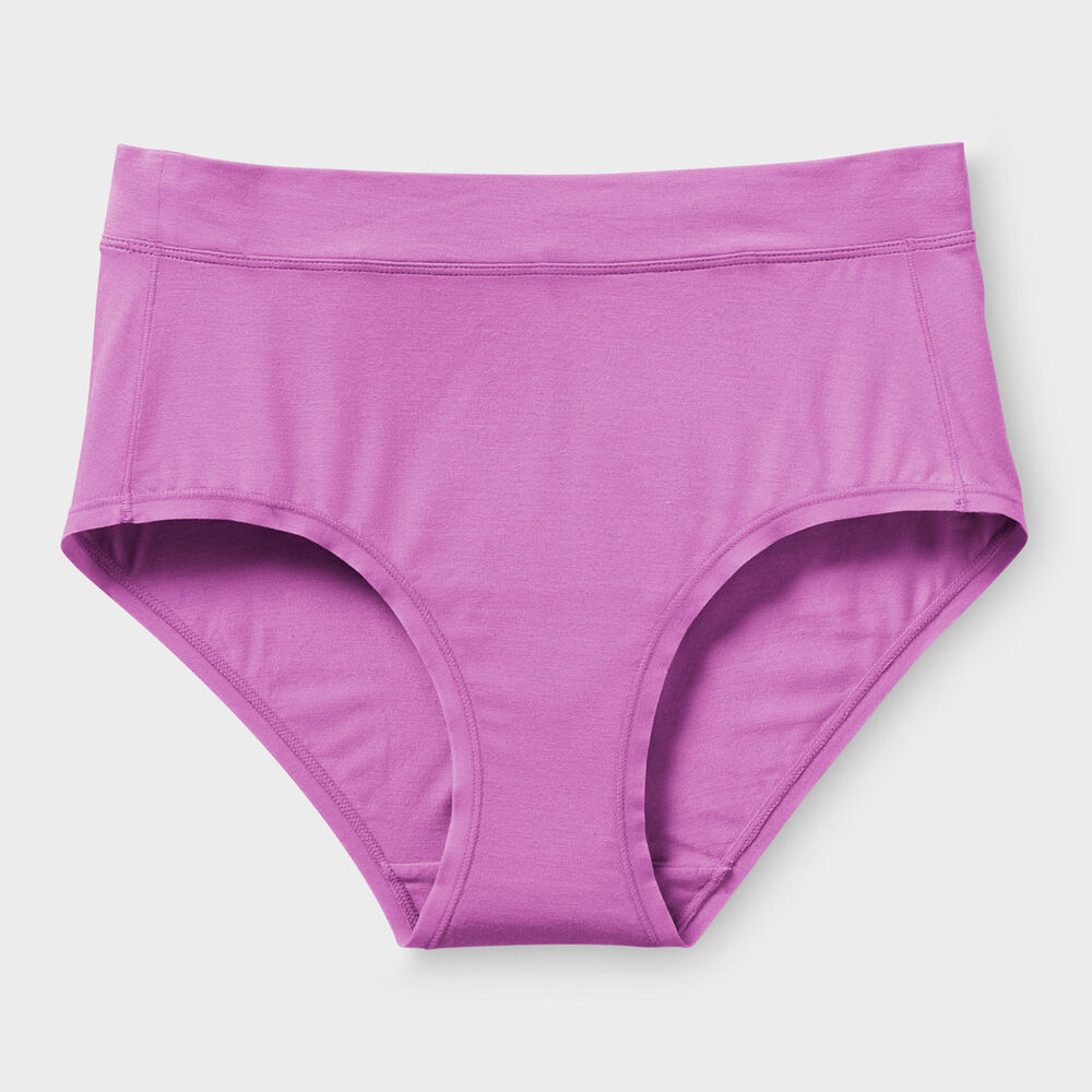 Women's Plus Dang Soft Modern Briefs Main Image