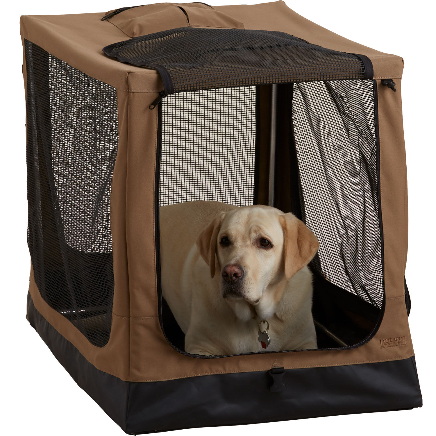 Large dog transport discount crate