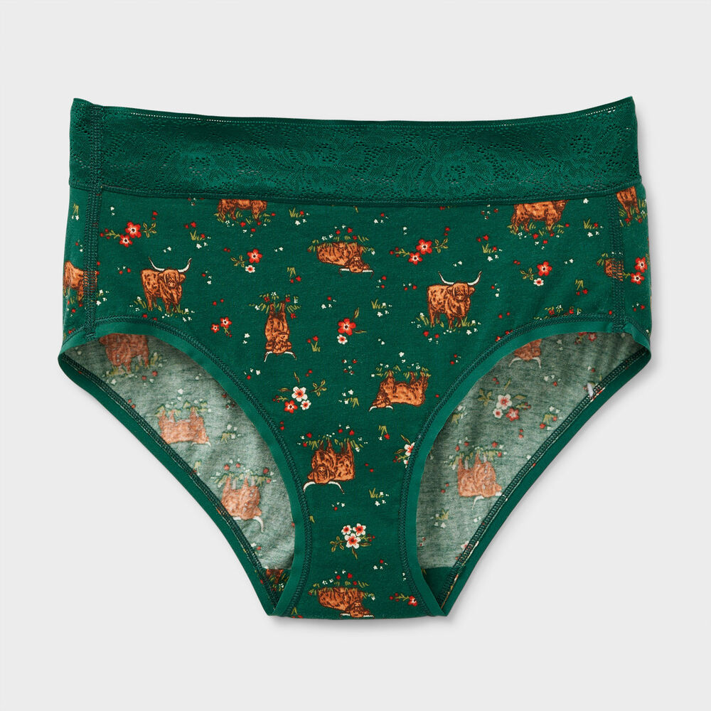 Women's Free Range Modern Lace Briefs Main Image