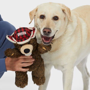 Tall Tails Duluth Winter Bear