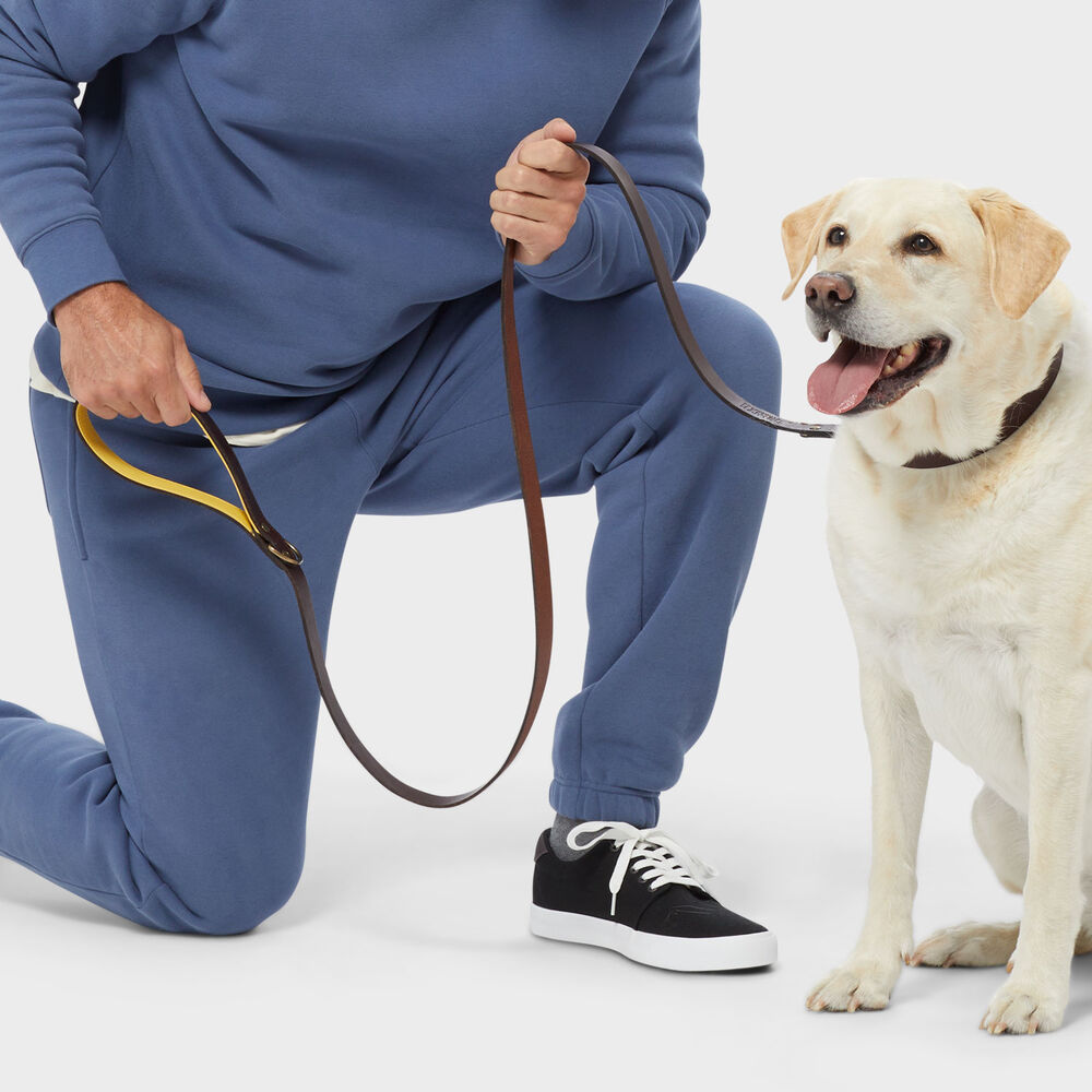 Buffalo Hide Dog Leash Main Image