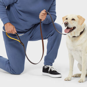 Buffalo Hide Dog Leash