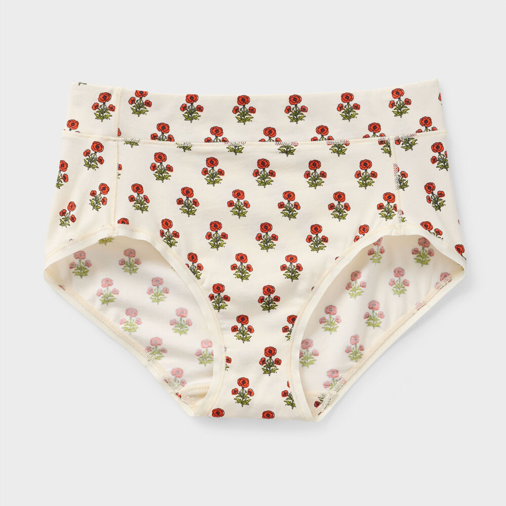 Women's Free Range Modern Briefs SZJ XXL Main Image
