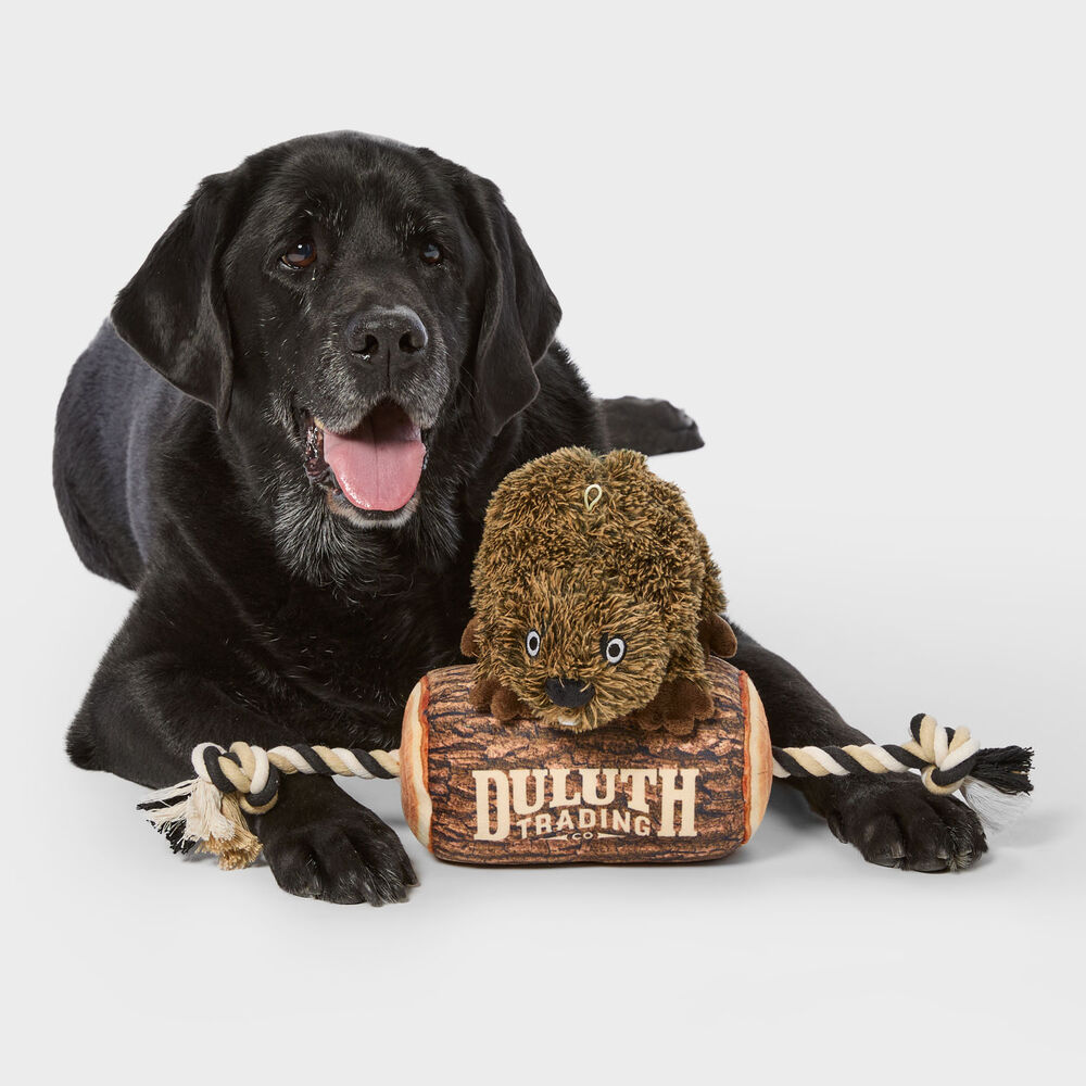 Angry Beaver on a Log 2-in-1 Dog Toy Main Image