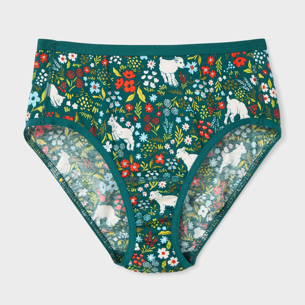 Women's Plus Free Range Organic Cotton Briefs Main Image