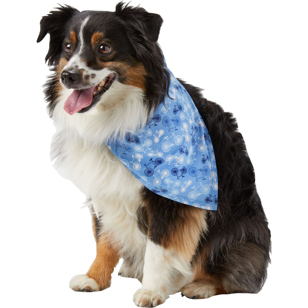 Dog Bandana Main Image