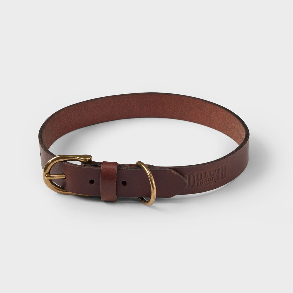 Buffalo Hide Dog Collar Main Image