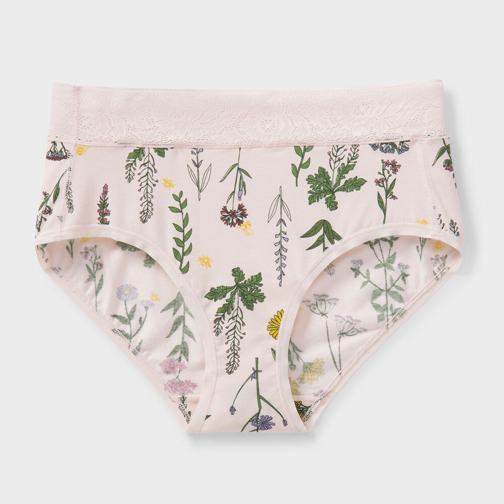 Women's Free Range Modern Lace Briefs Main Image