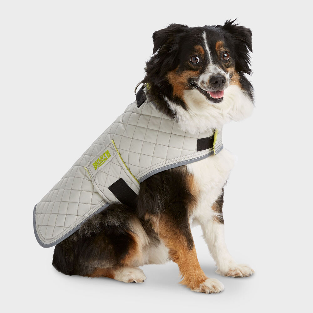 Puffer Dog Jacket Main Image