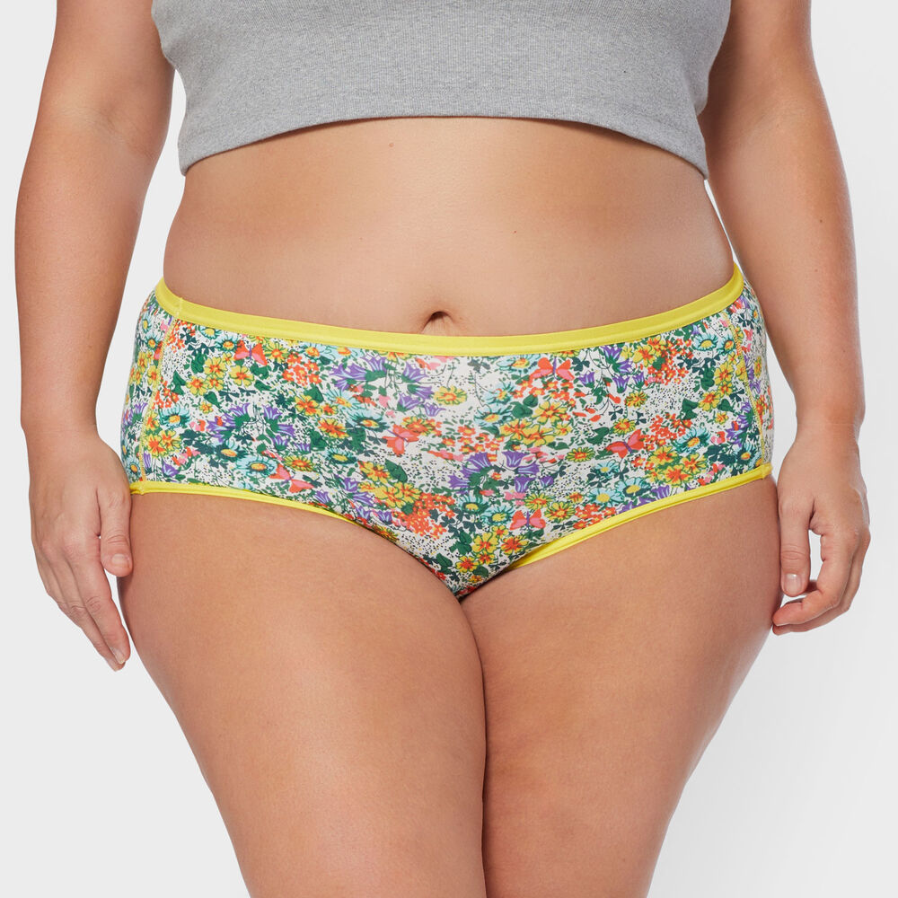Women's Plus Free Range Organic Cotton Briefs 3-Pack Main Image