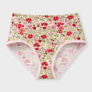 Women's Dang Soft Modern Briefs