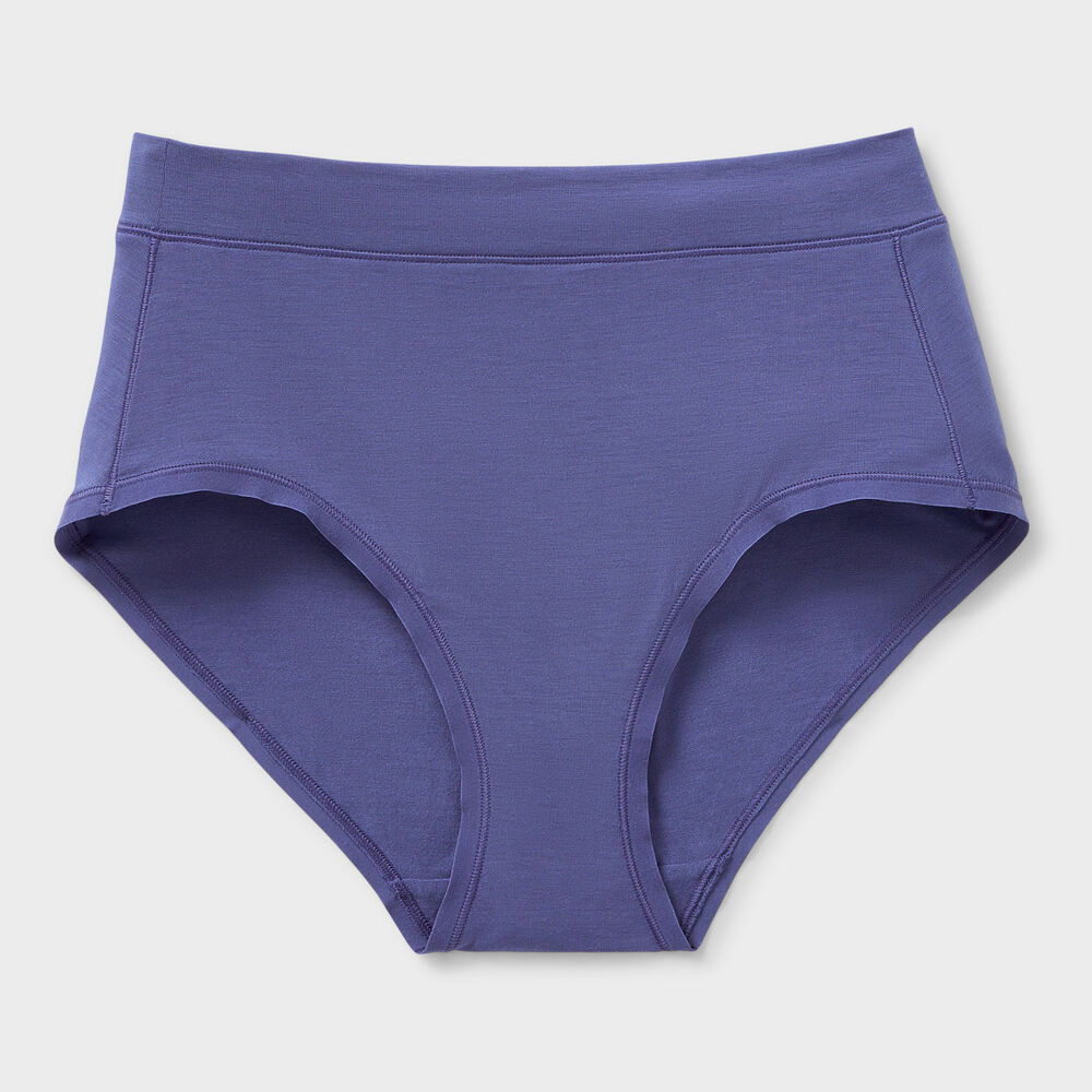 Women's Plus Dang Soft Modern Briefs Main Image