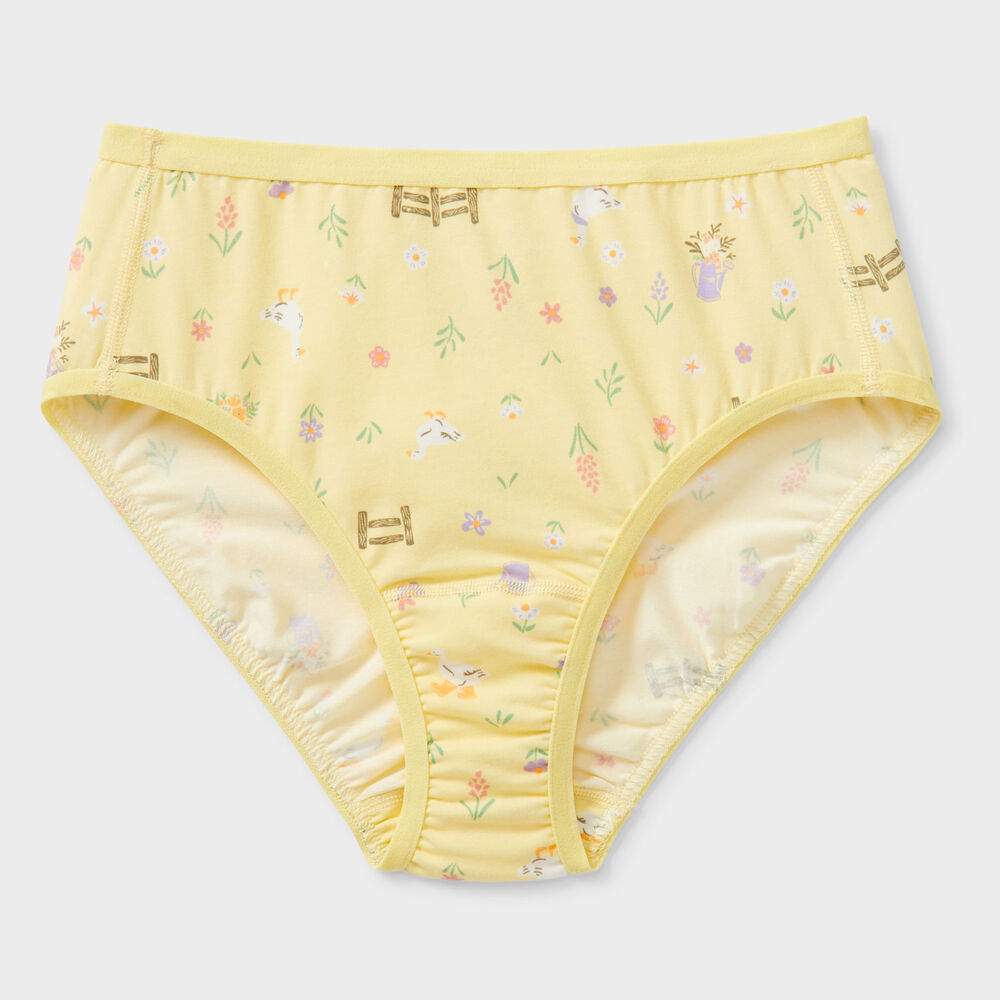 Women's Plus Free Range Organic Cotton Briefs Main Image