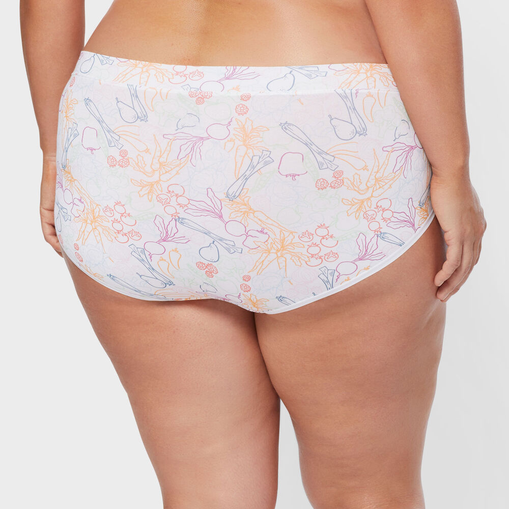 Women's Plus Dang Soft Modern Briefs 3-Pack Main Image