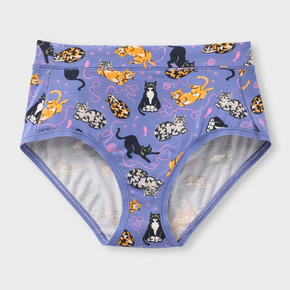 Women's Dang Soft Modern Briefs Main Image