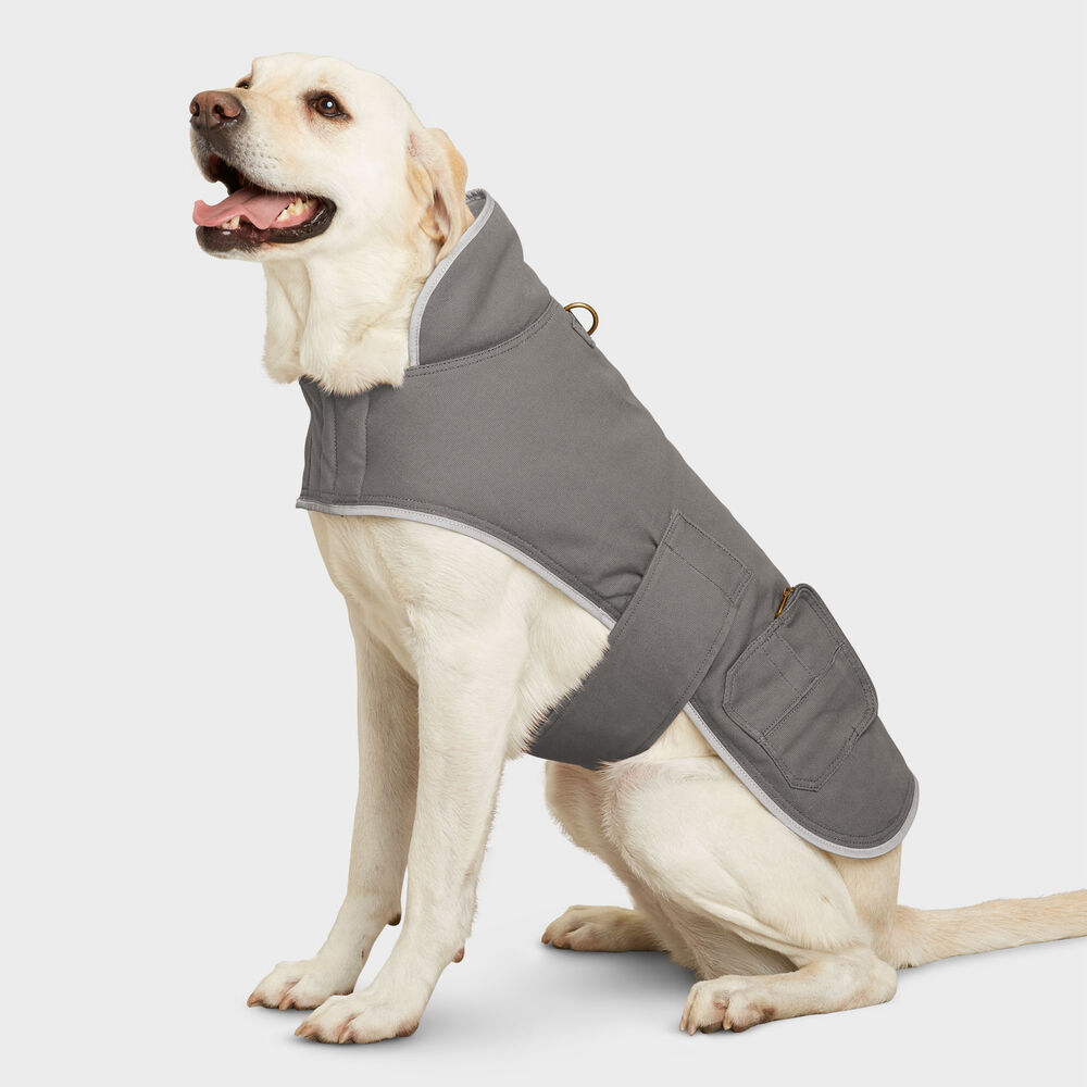 Fire Hose Dog Jacket Main Image