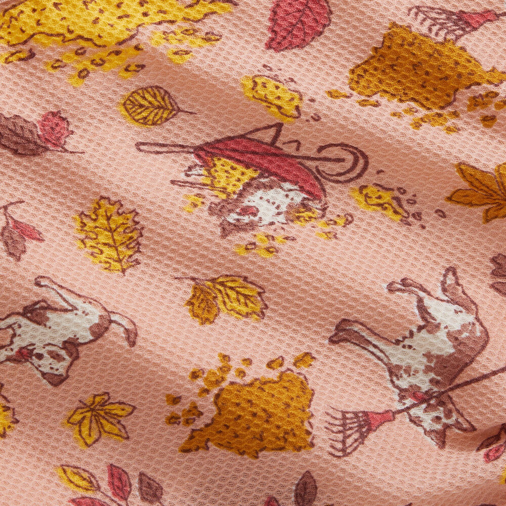 Women's Buck Naked Hipster Main Image