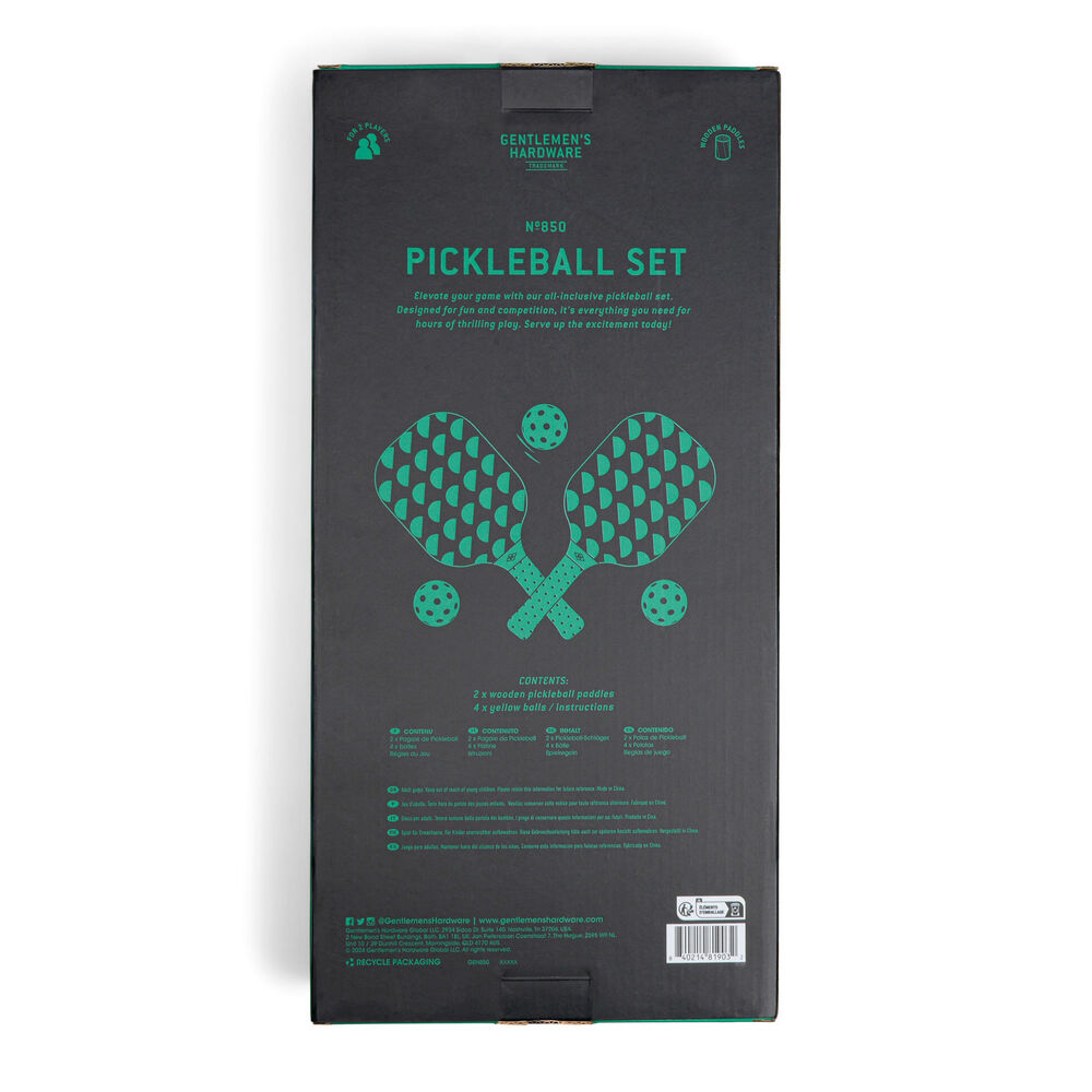 Pickleball Set Main Image