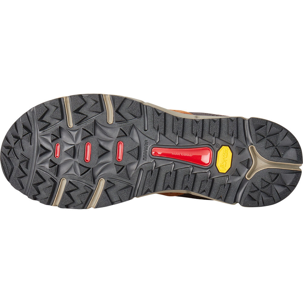 Men's Danner Trail 2650 Shoes Main Image